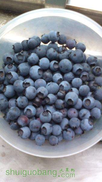 IMG_20150522_174256.jpg