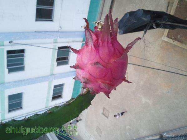 20151029_112245.JPG