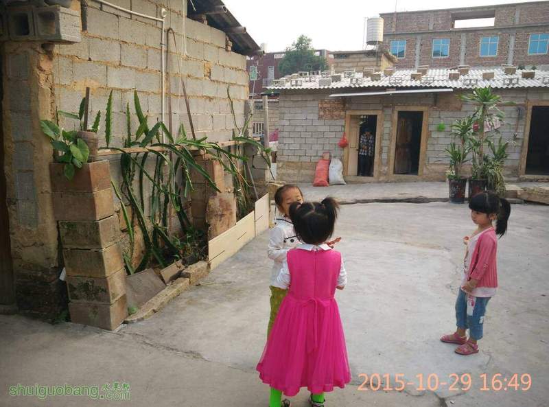 085309kpjlsut4siw9zmi9.jpg