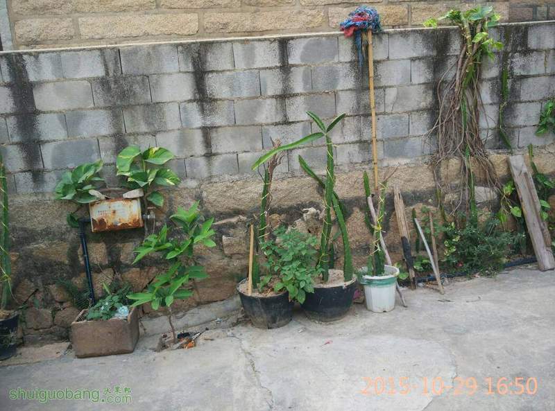 085348kovzwldhlxdvzham.jpg