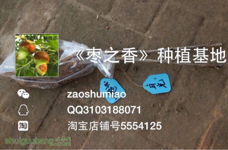 142657qw7ymu7w4uwp77kz.jpg