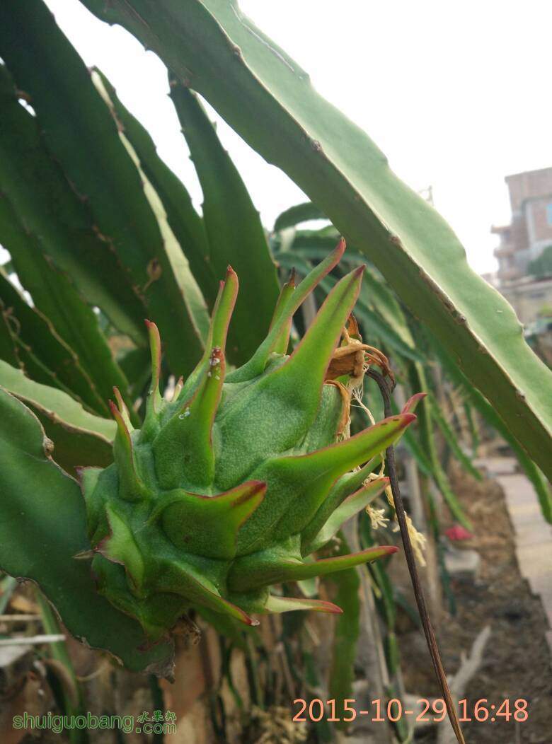 214244urlgwyzxgm078gxe.jpg