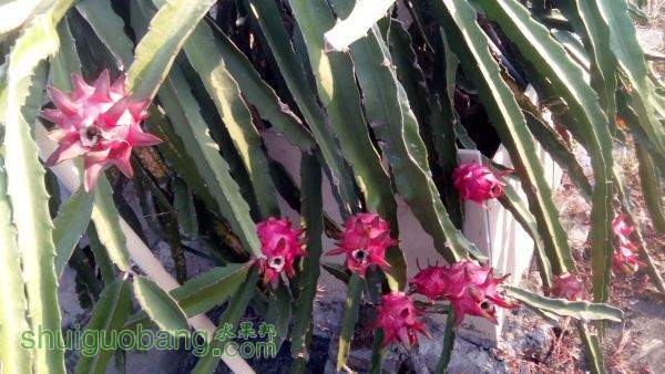 IMG_20151018_074758.jpg