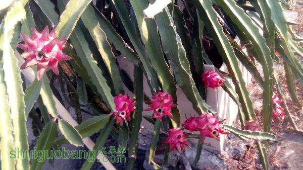 IMG_20151018_074800.jpg