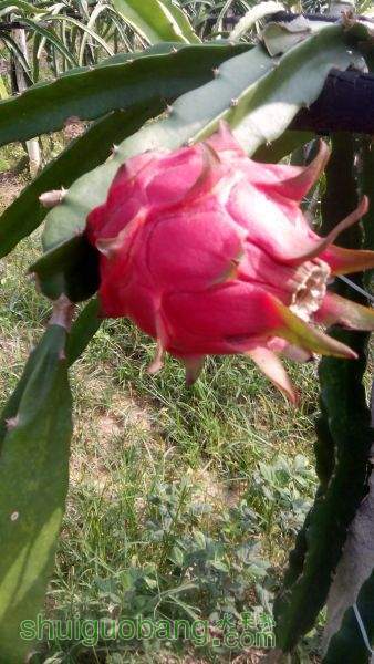 IMG_20151027_140619.jpg