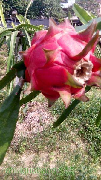 IMG_20151027_140628.jpg