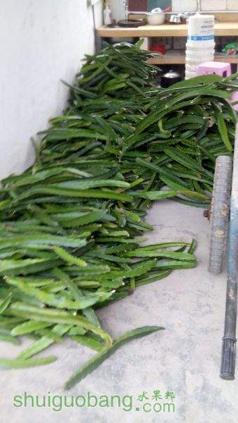 IMG_20151030_150345.jpg