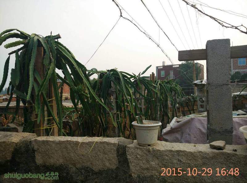020323fyy6ssoj3y8m377t.jpg