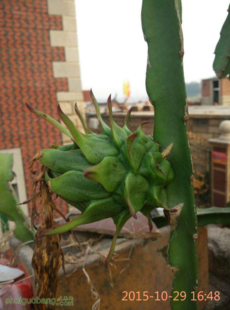 020800xdao0ex39haqhlqk.jpg