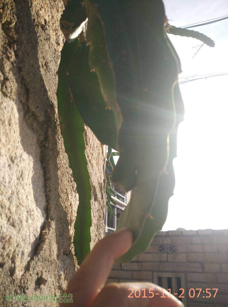 081612otmfretvax0ct24x.jpg
