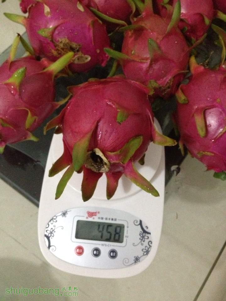 210823jztahf6pg0ahutht.jpg