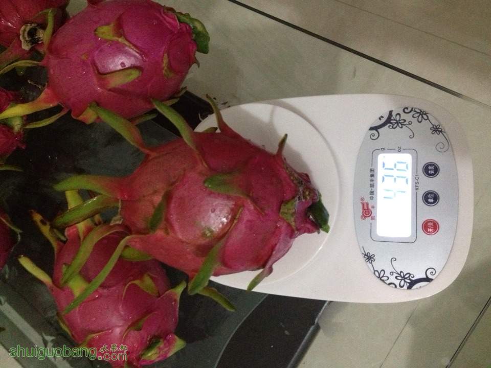 210951gk0wzy7nyqpcqhix.jpg