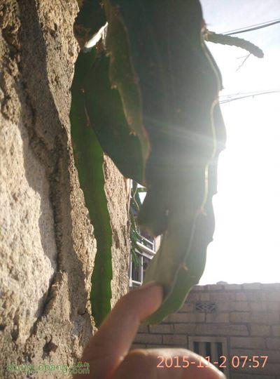 083516jyp7spsuczqncnkb.jpg