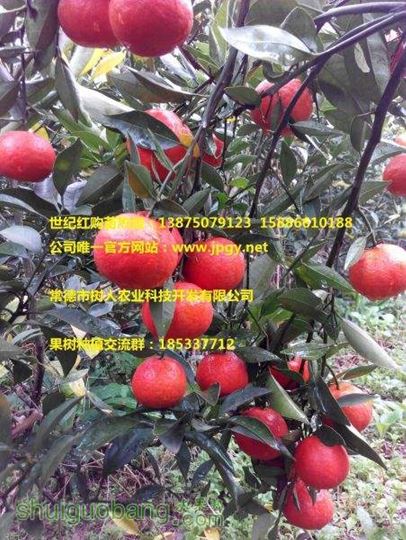 QQͼƬ20151014152024.jpg