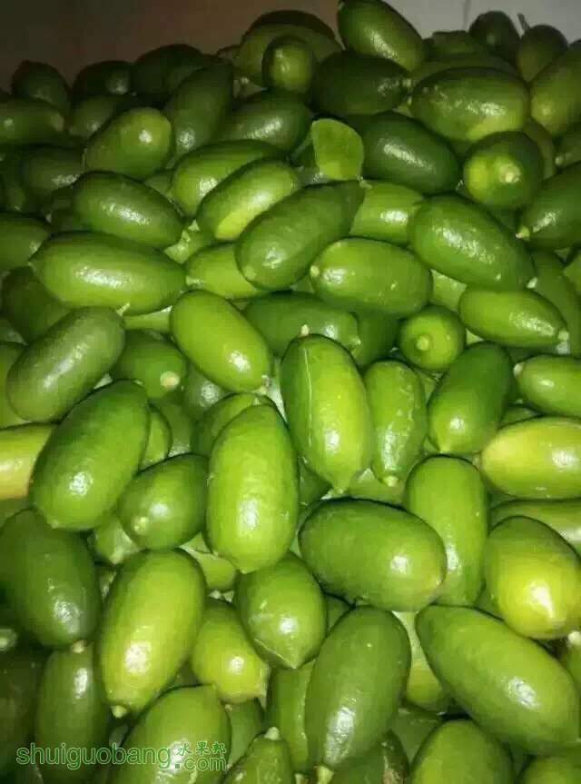 163339tkg4018pk6dykl11.jpg