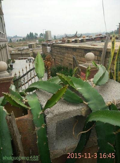 220006b1qpmv10qqv3zqhu.jpg