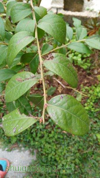 IMG_20151103_125117.jpg