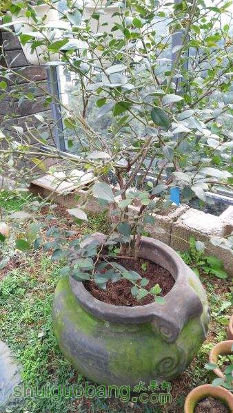 IMG_20151103_125057.jpg