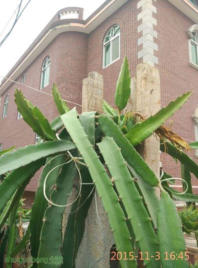 084803guyrlutraaqh955w.jpg
