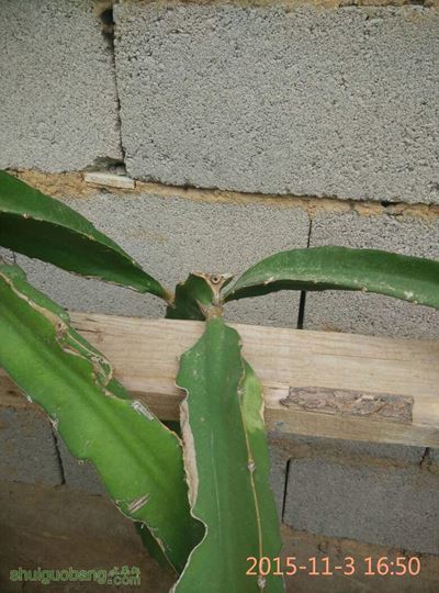 084941rudtvecu2uonnhfv.jpg