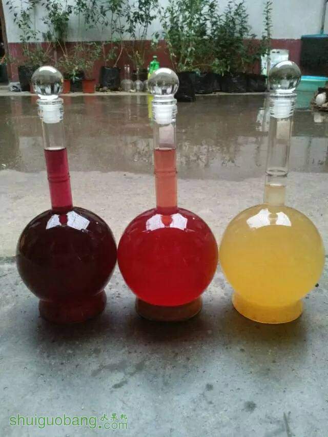 100826ub2b8opi44pdbz8z.jpeg