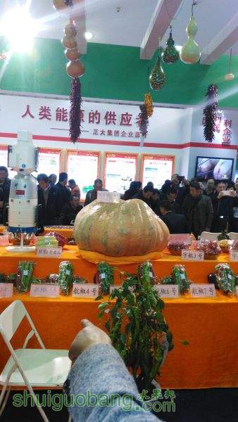 ԰ƬIMG_20151105_092334.jpg