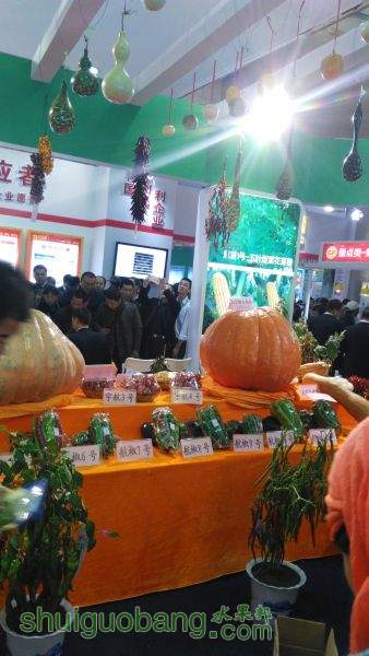 ԰ƬIMG_20151105_092344.jpg