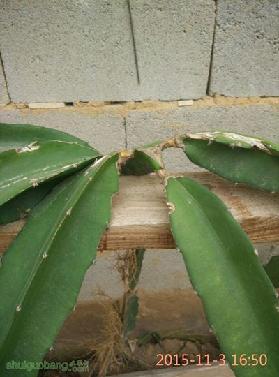 083433rwepgzp51yewzmx3.jpg