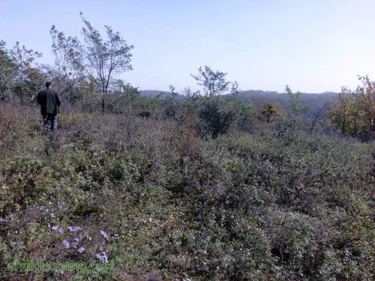 084730ukcoyudaotwoutnm.jpg