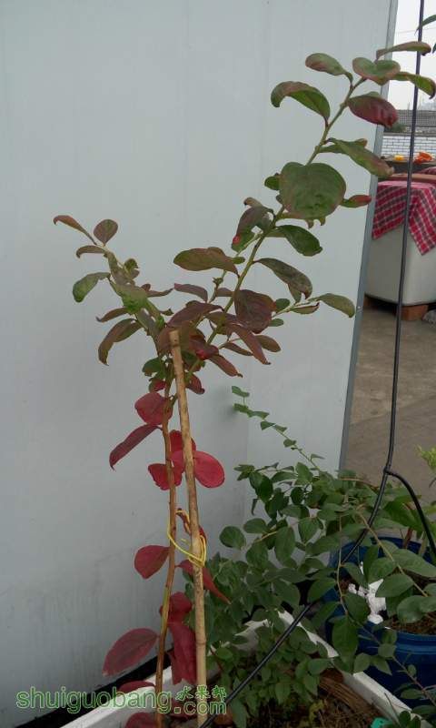 094307ev0qm3er8774crrr.jpg