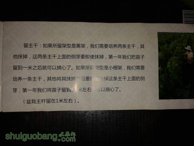 131412moo57g8hg8oo6537.jpg