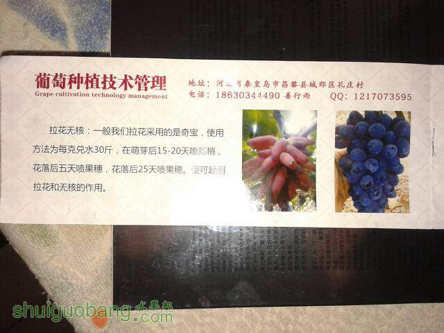 131413pslz8javvl02280w.jpg