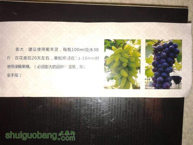 131710sxo6ittq60s0pus6.jpg