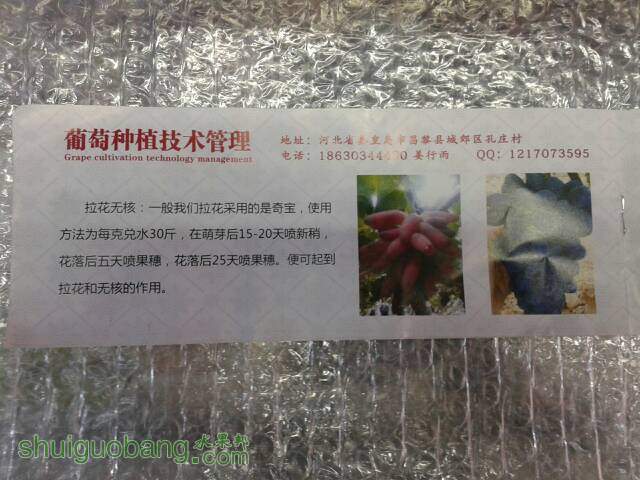 133818xzh46krdhk6kku6b.jpg