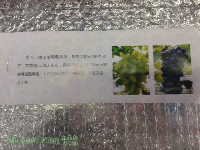 134101hgx8txavt48yxgex.jpg
