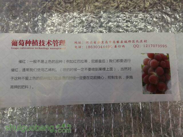 134102h3rme42rkmecw42l.jpg