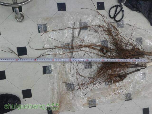 134416q12p7sz7mpm96r6m.jpg