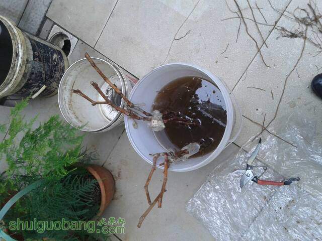 134417pee3la1lk3al4opy.jpg