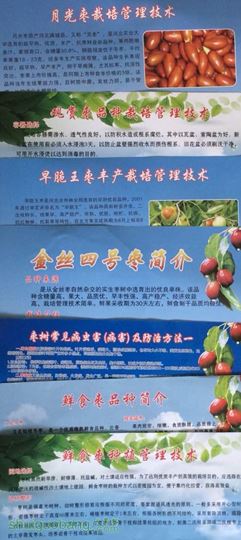 120314qxrdpges2gdwldxr.jpg