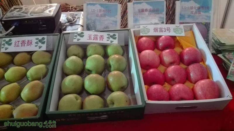 150051nnzk83soy3snu8sr.jpg