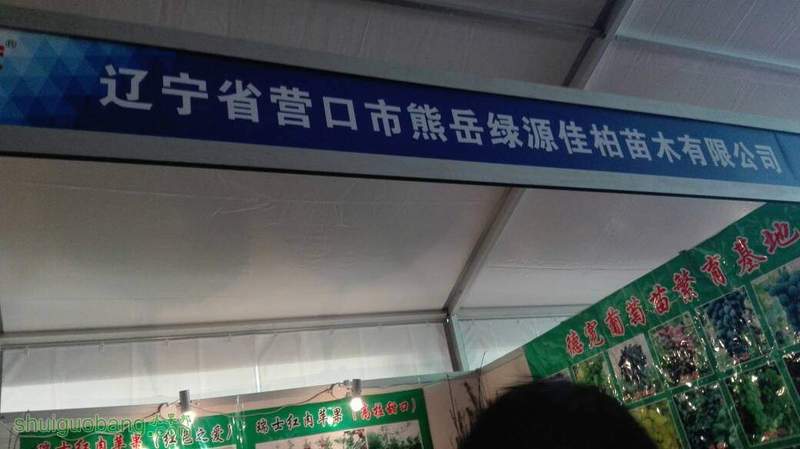 150055sbzcrtz4iwmiqzy4.jpg