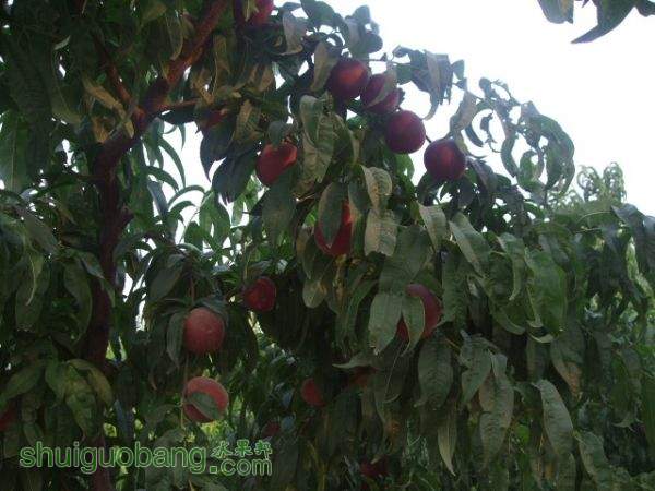 2012.617ռ 008.jpg