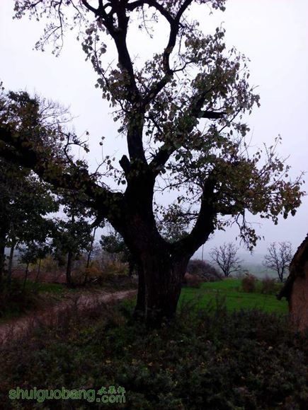 152327wbeej9jl2bempeel.jpg