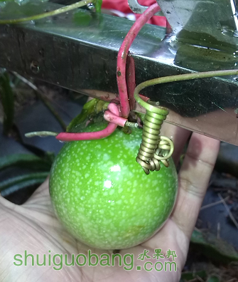 QQͼƬ20151005105951.png