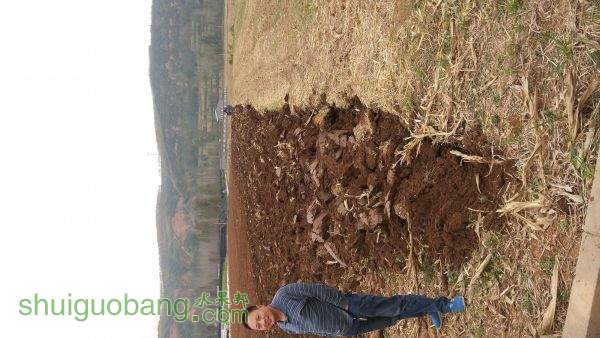 20141027_141441.jpg