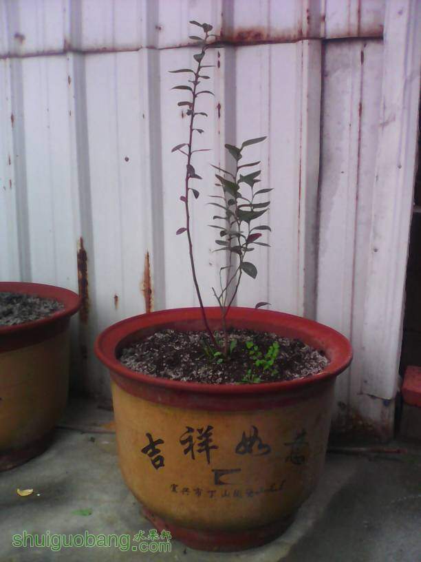 102808bmm4h02cm55uzt97.jpg
