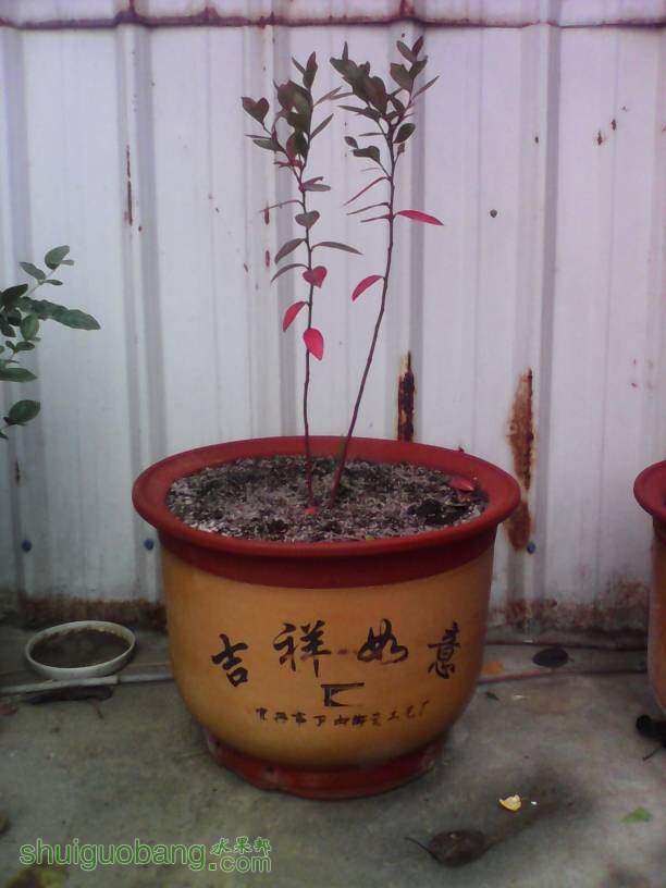 102808v6huc86mfpcfagfm.jpg
