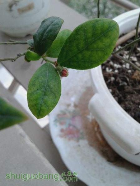 20151119_123250.jpg