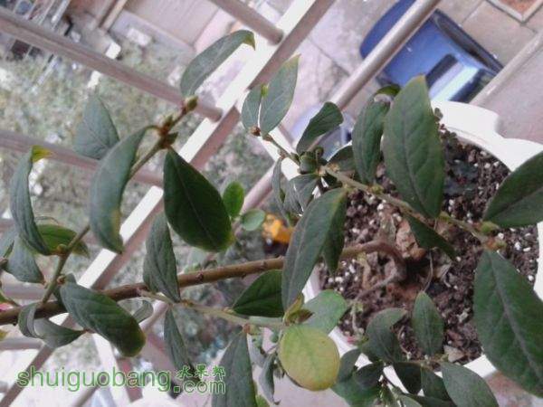 20151119_124425.jpg