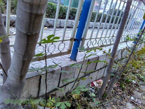 QQͼƬ20151119203830.jpg
